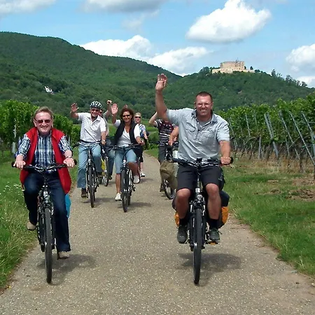 Hotel & Living Am Wartturm - & Speyer