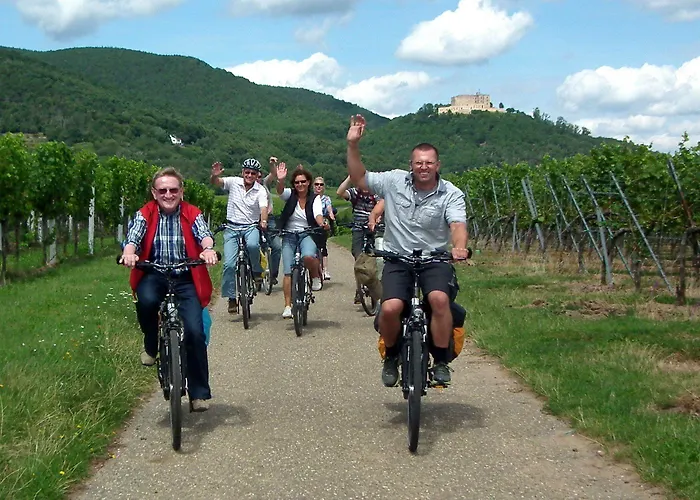 & Living Am Wartturm Speyer